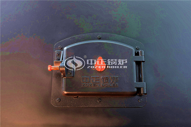 燃生物質(zhì)導熱油鍋爐大廠 哪家好