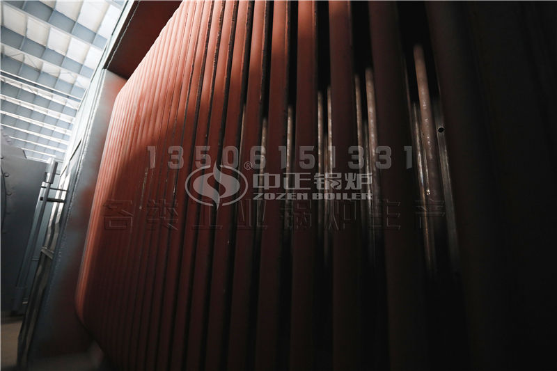 江蘇生物質(zhì)導(dǎo)熱油鍋爐供應(yīng) 導(dǎo)熱油鍋爐誰(shuí)家性能好，價(jià)格合理?